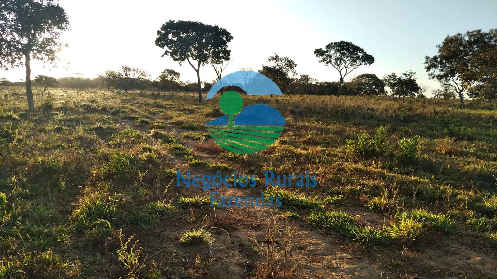 Sítio à venda de 53 ha em Pirenópolis, GO, Brasil