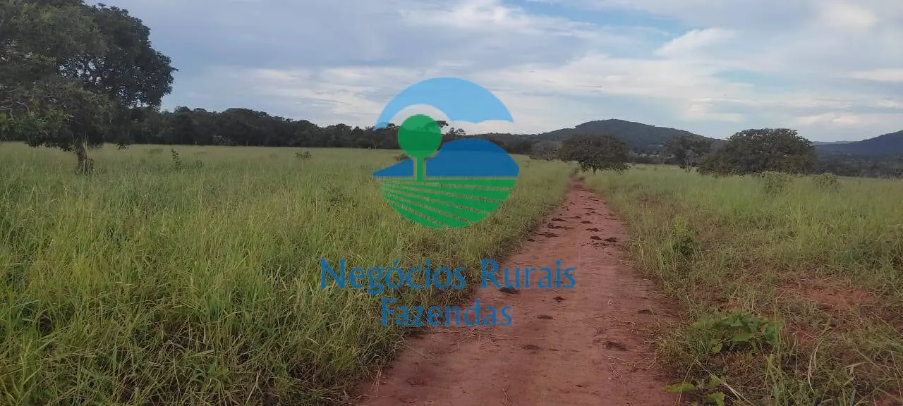 Sítio à venda de 53 ha em Pirenópolis, GO, Brasil