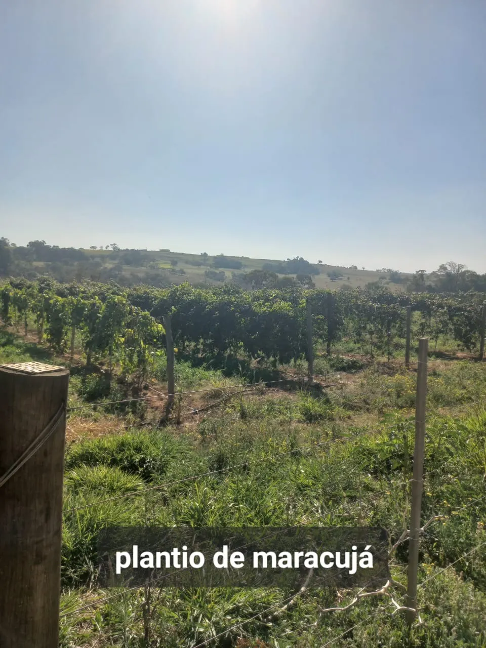 Fazenda à venda de 15 ha em Itapetininga, SP, Brasil
