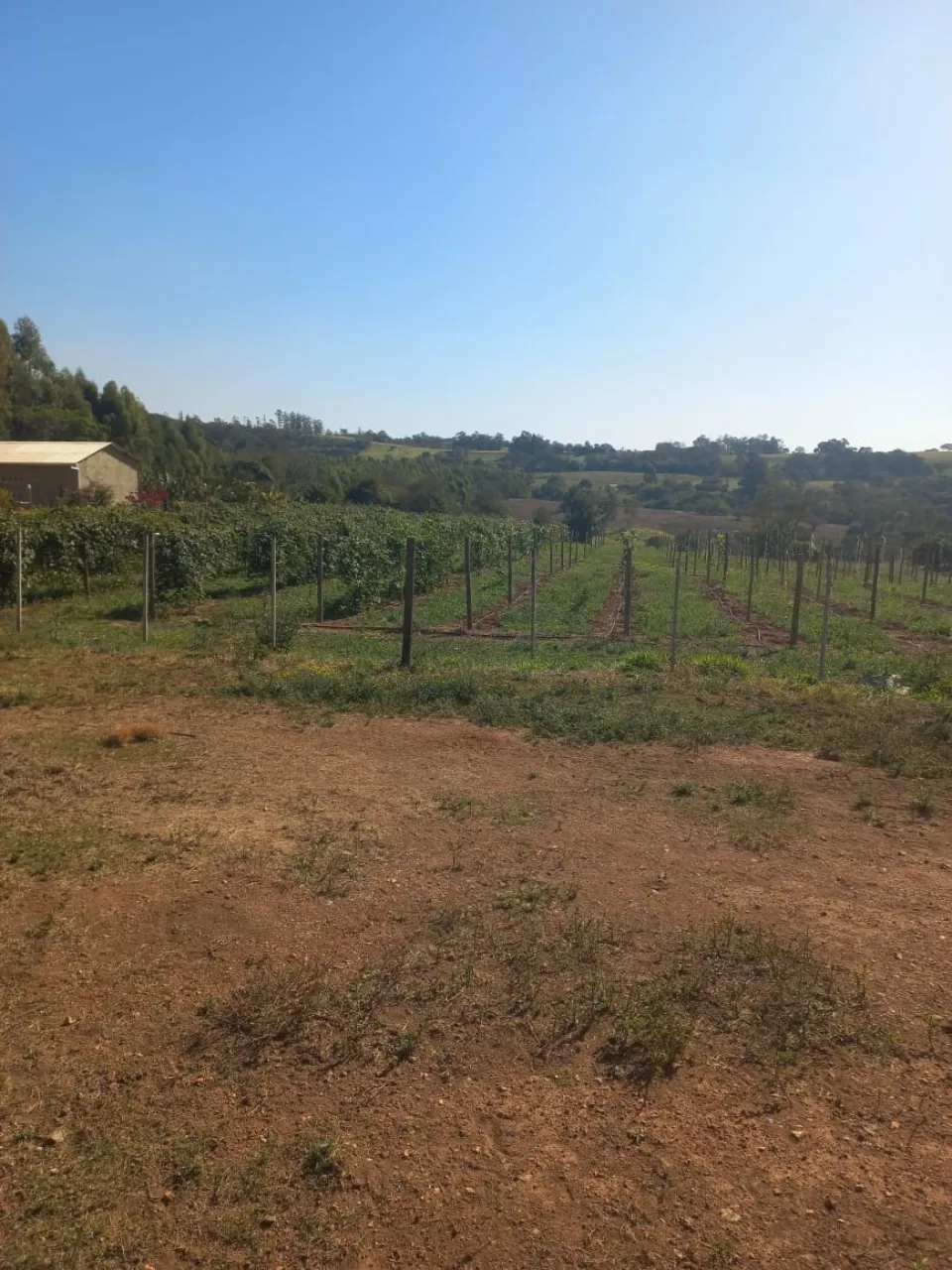 Fazenda à venda de 15 ha em Itapetininga, SP, Brasil