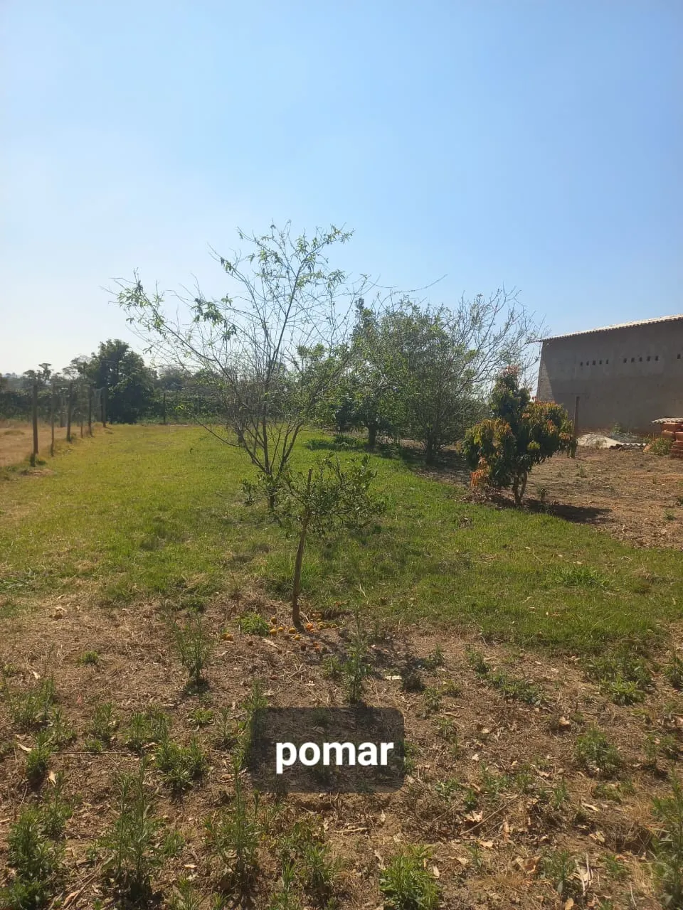 Fazenda à venda de 15 ha em Itapetininga, SP, Brasil