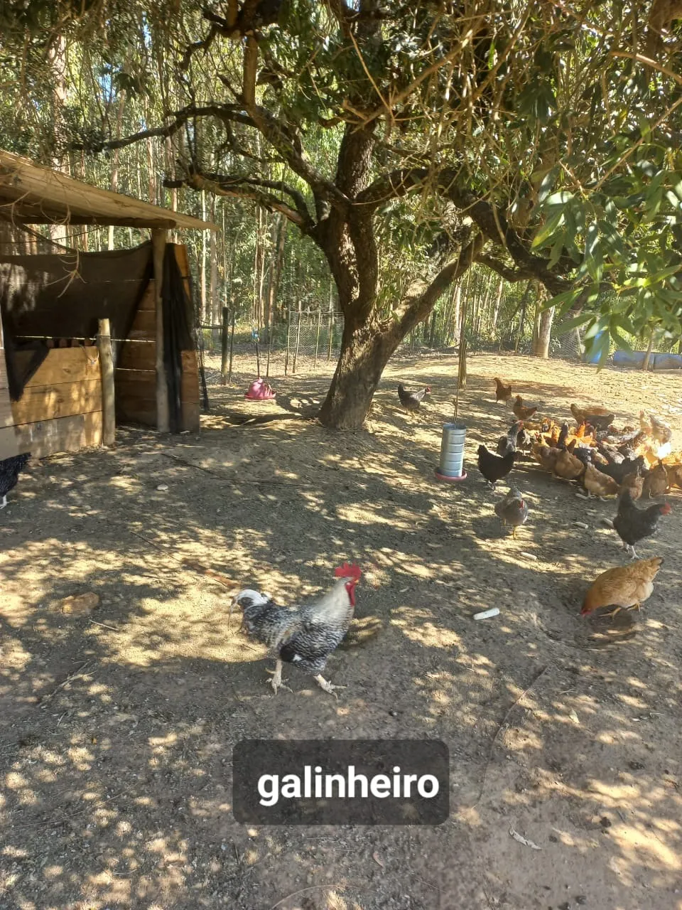 Fazenda à venda de 15 ha em Itapetininga, SP, Brasil