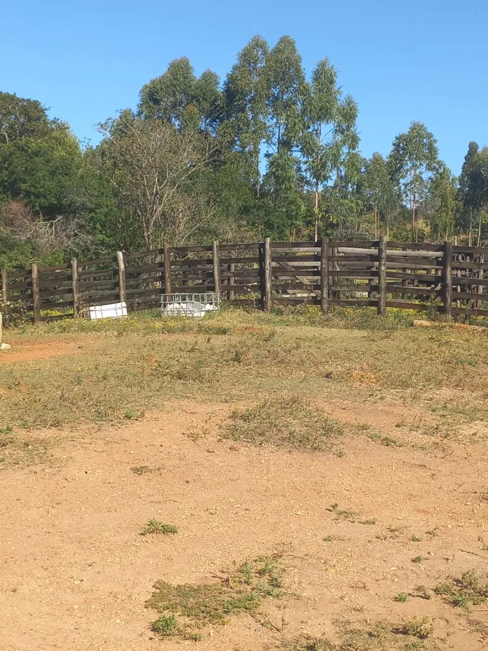 Fazenda à venda de 15 ha em Itapetininga, SP, Brasil