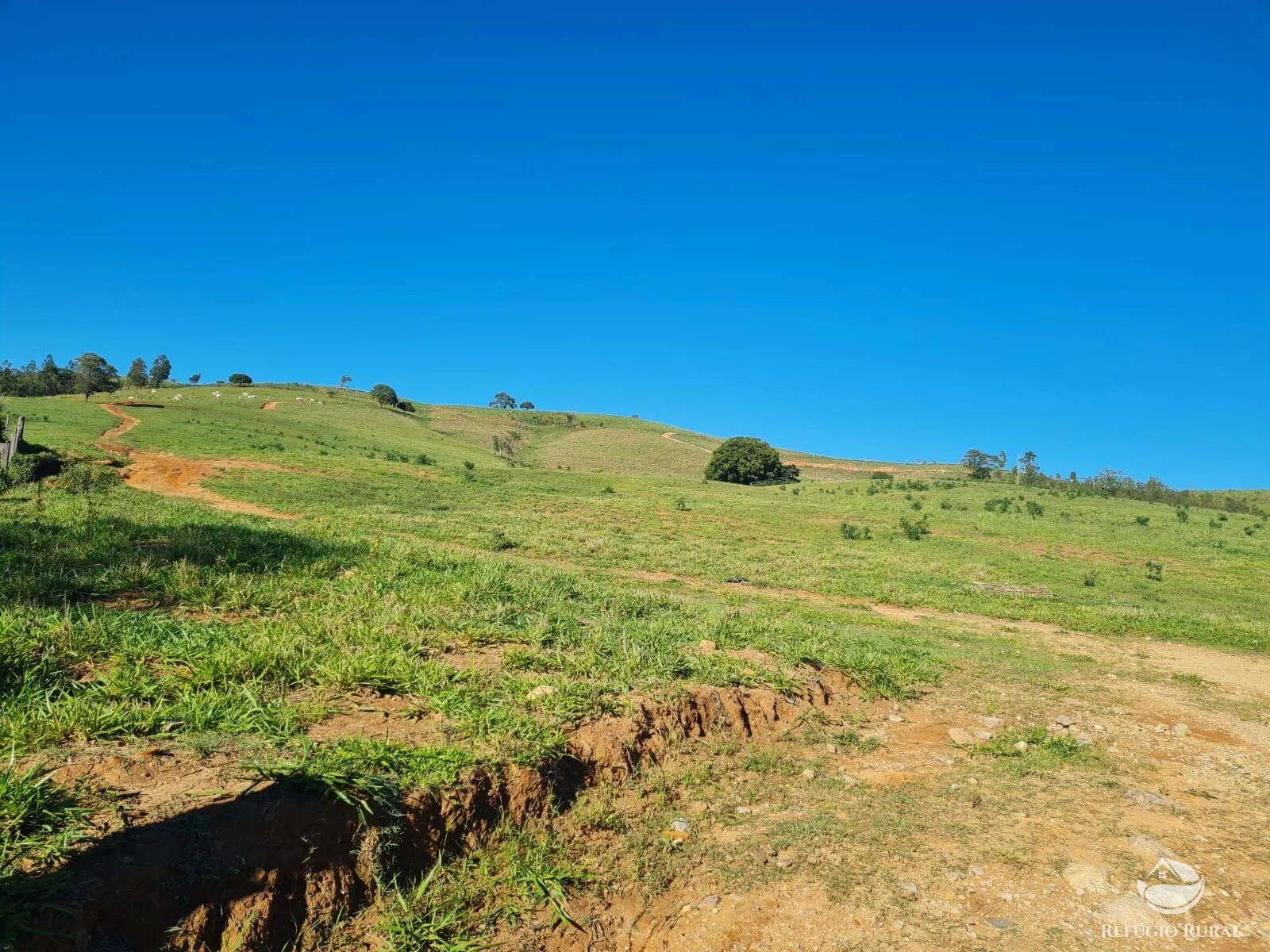 Fazenda à venda de 822 ha em Jacutinga, MG, Brasil