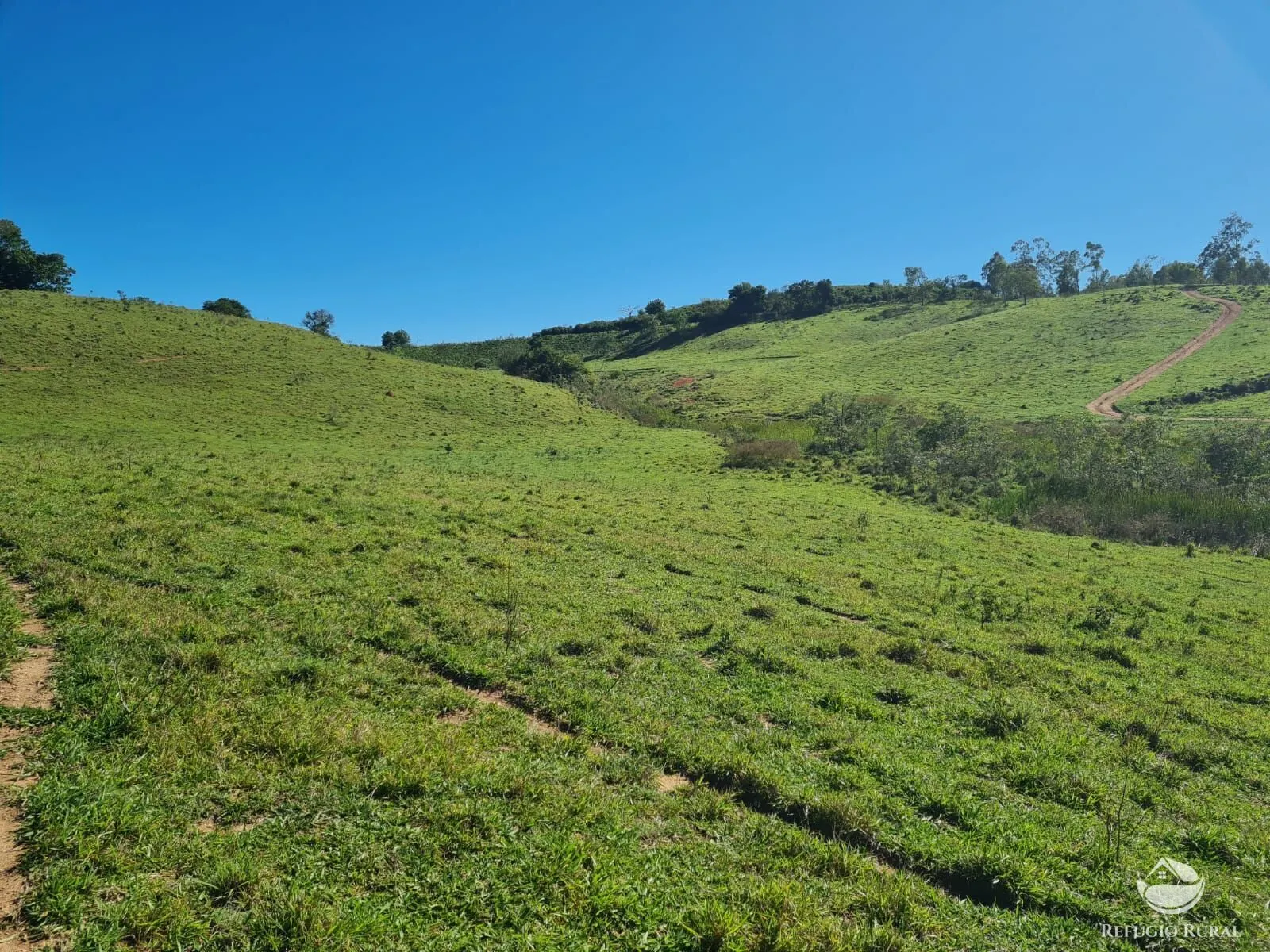 Fazenda à venda de 822 ha em Jacutinga, MG, Brasil