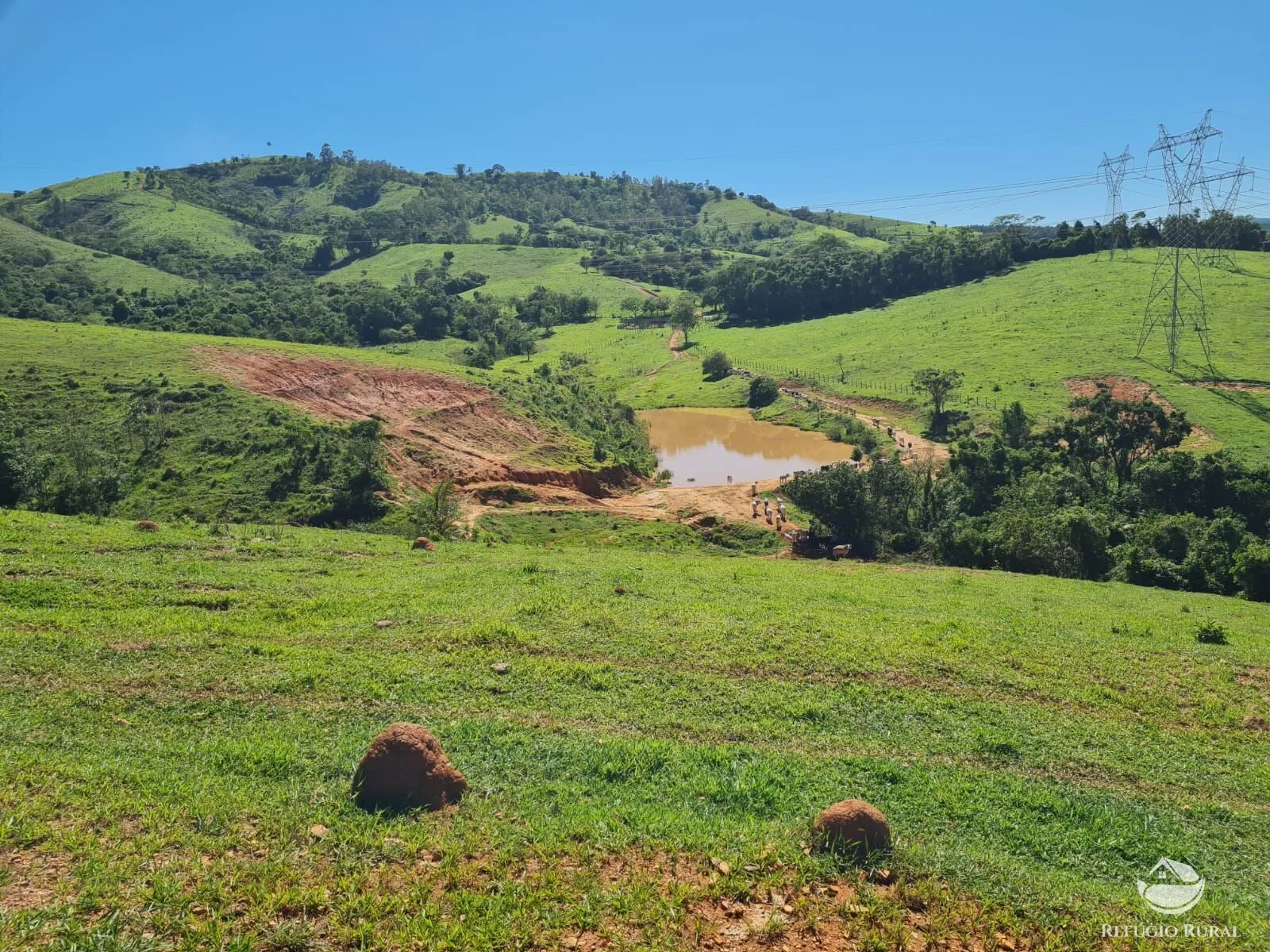 Fazenda à venda de 822 ha em Jacutinga, MG, Brasil