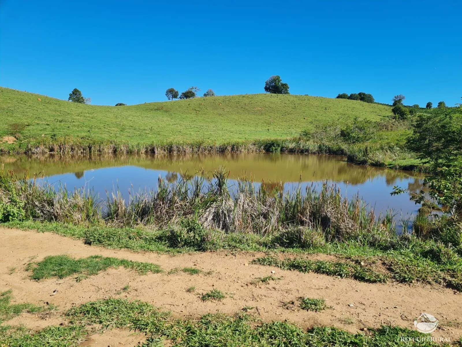Fazenda à venda de 822 ha em Jacutinga, MG, Brasil