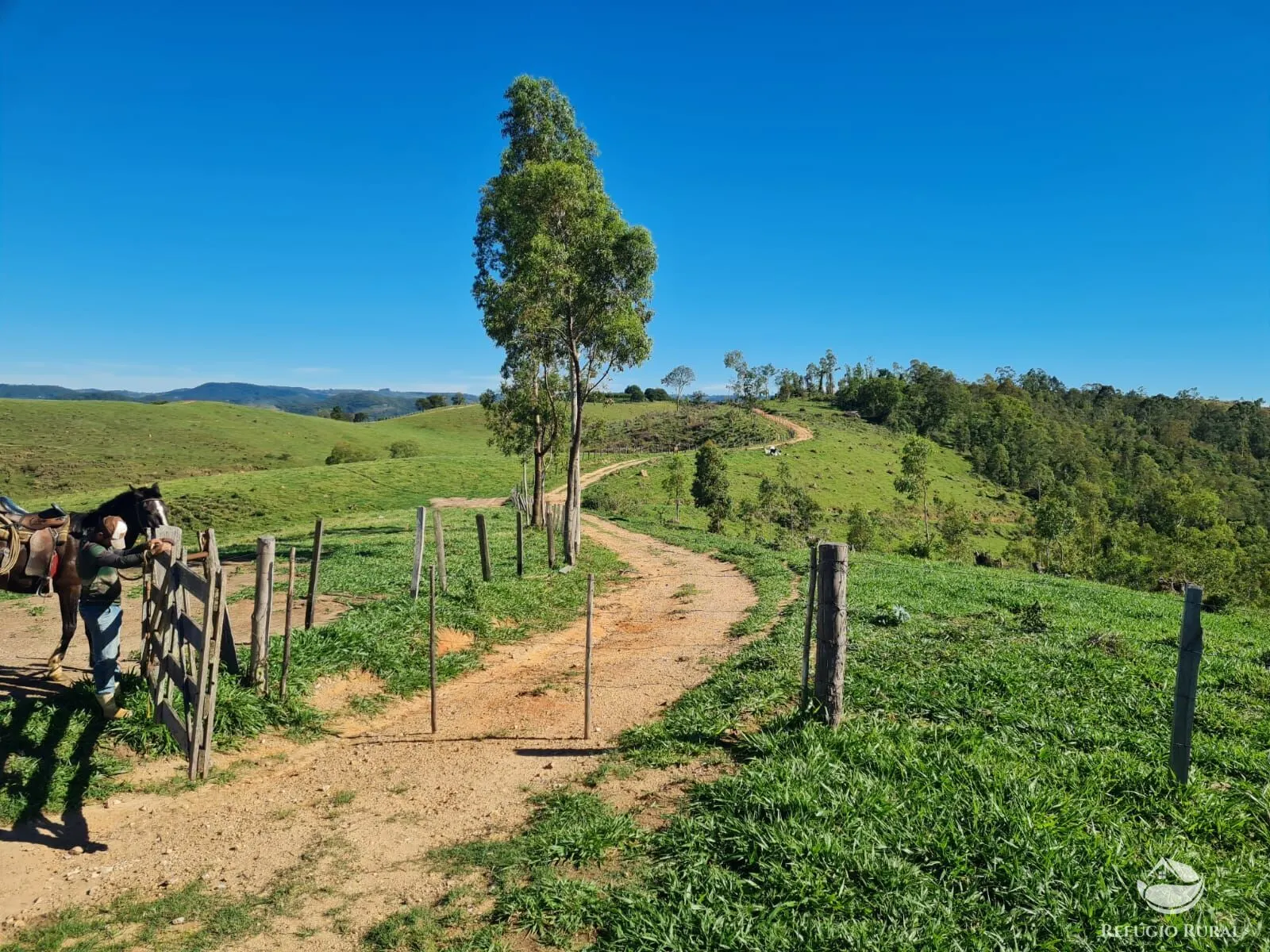 Fazenda à venda de 822 ha em Jacutinga, MG, Brasil