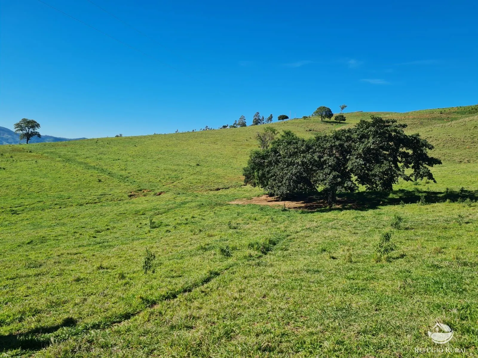 Fazenda à venda de 822 ha em Jacutinga, MG, Brasil
