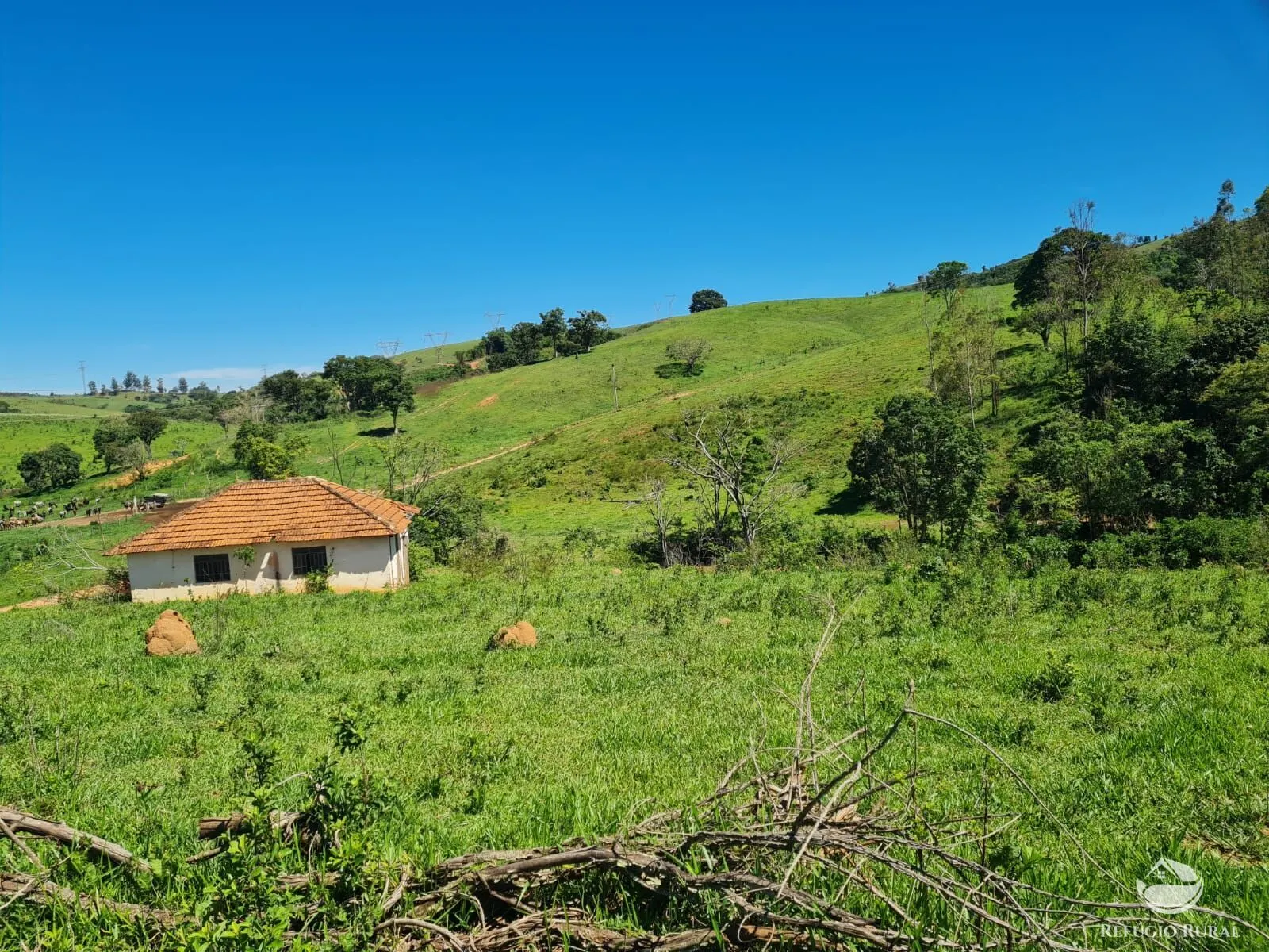 Fazenda à venda de 822 ha em Jacutinga, MG, Brasil
