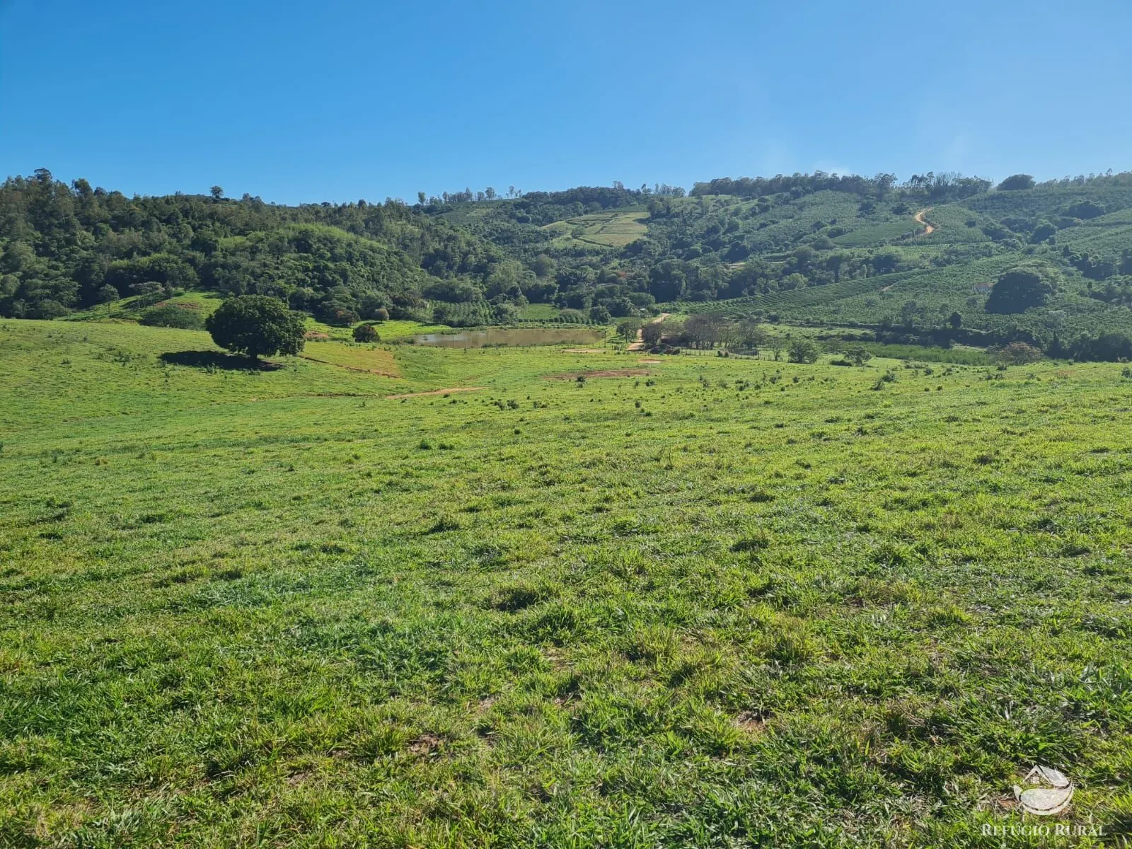 Fazenda à venda de 822 ha em Jacutinga, MG, Brasil