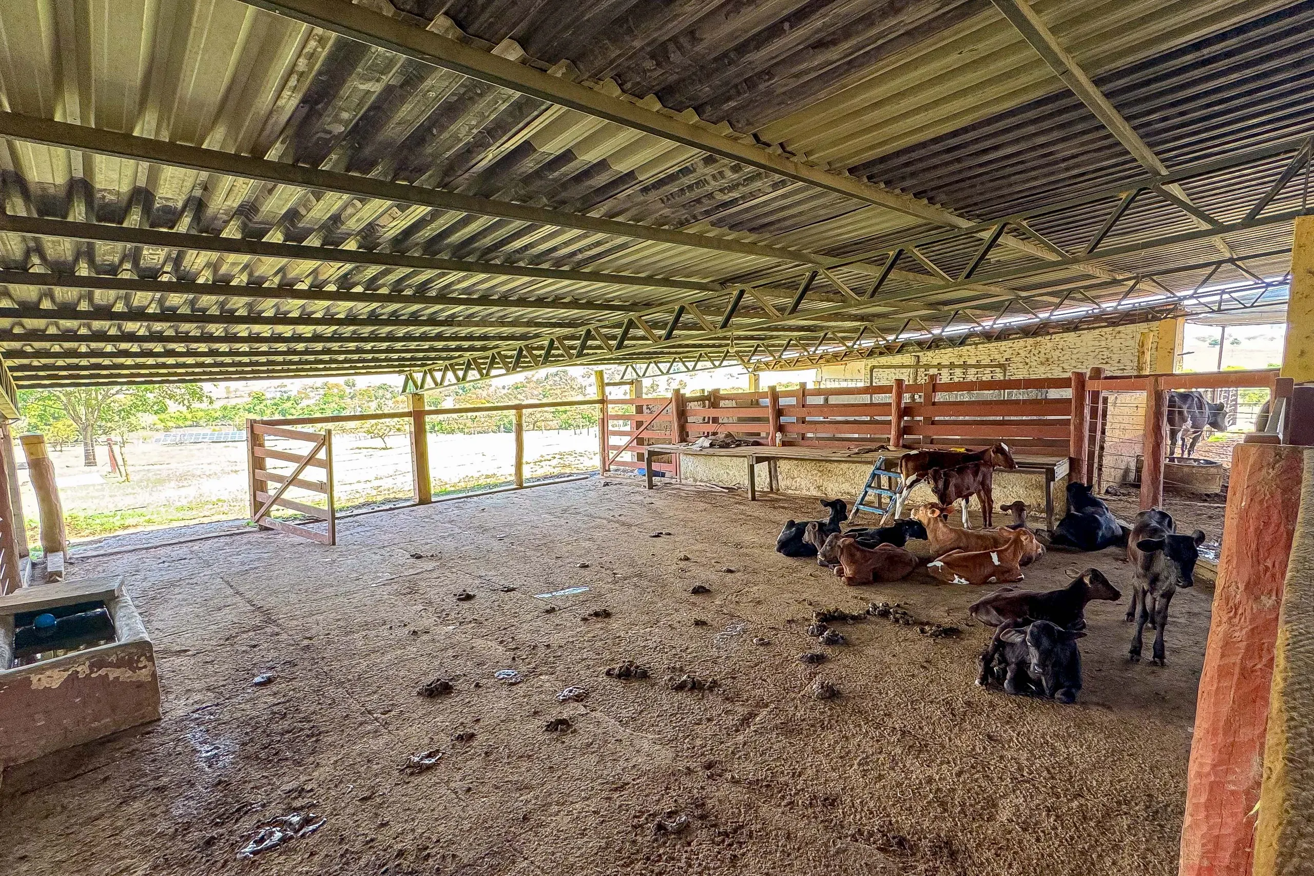 Fazenda à venda de 102 ha em Abadiânia, GO, Brasil