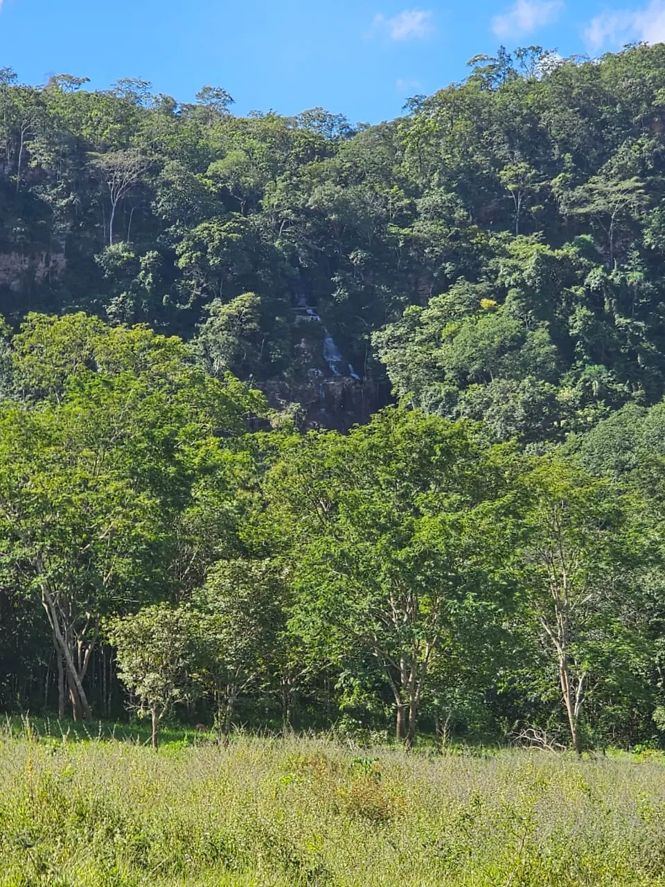 Fazenda à venda de 102 ha em Abadiânia, GO, Brasil