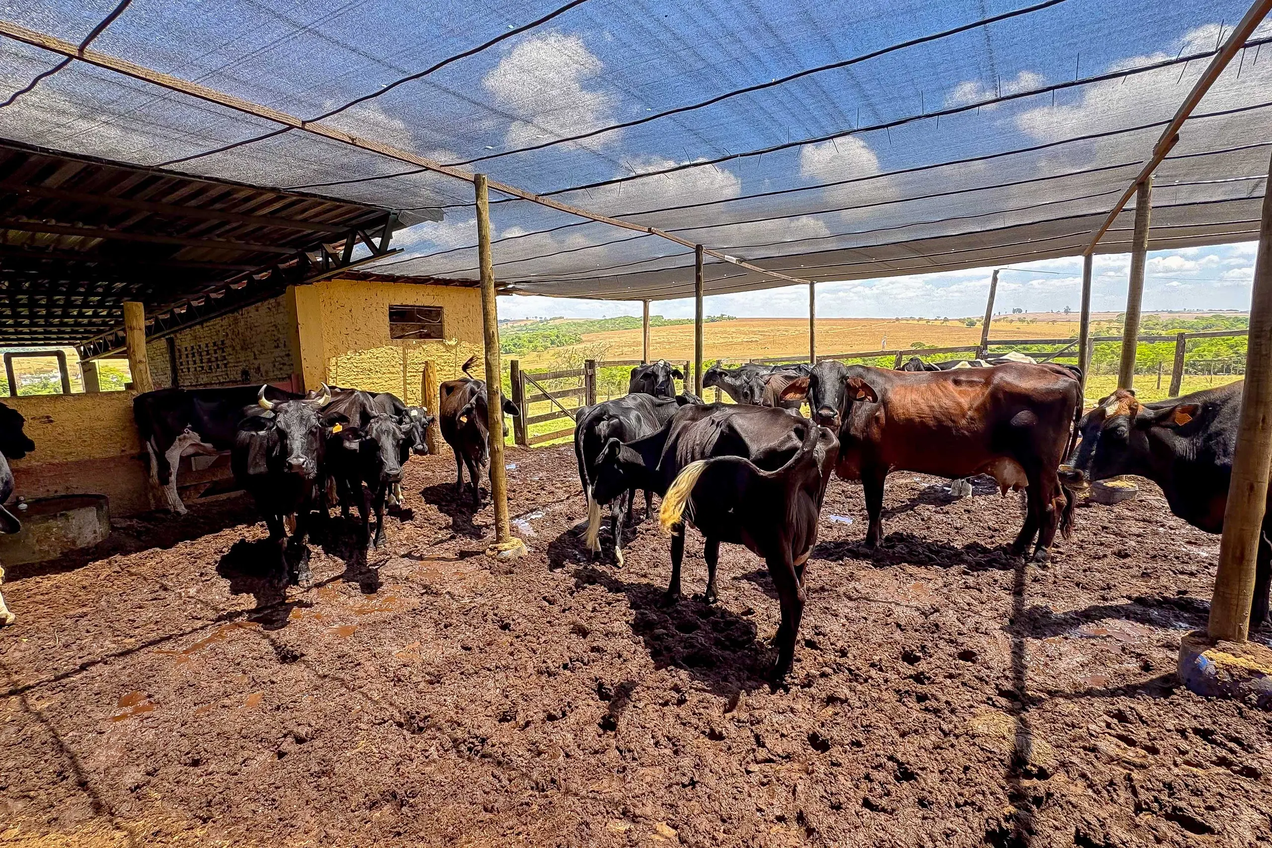 Fazenda à venda de 102 ha em Abadiânia, GO, Brasil