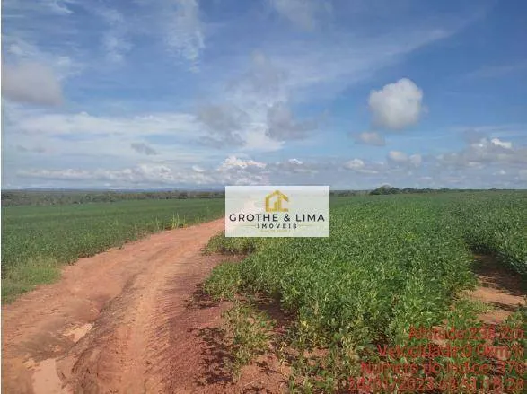 Fazenda à venda de 2.468 ha em Araguaína, TO, Brasil