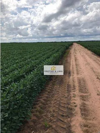 Fazenda à venda de 2.468 ha em Araguaína, TO, Brasil