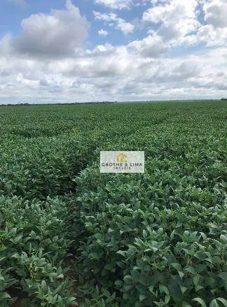 Fazenda à venda de 2.468 ha em Araguaína, TO, Brasil
