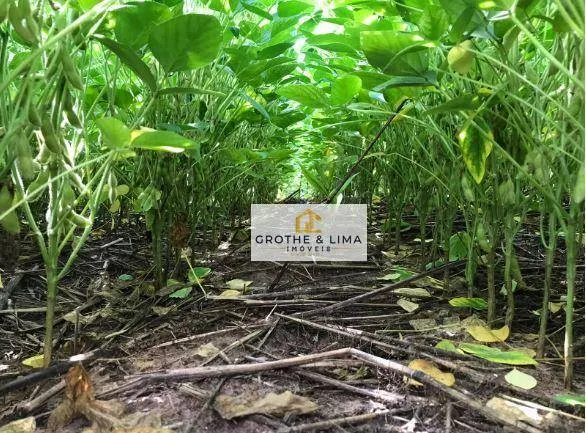 Fazenda à venda de 2.468 ha em Araguaína, TO, Brasil