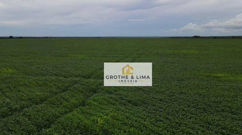 Fazenda à venda de 2.468 ha em Araguaína, TO, Brasil