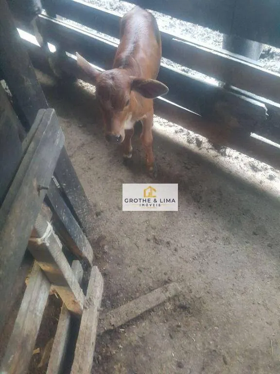 Sítio à venda de 34 ha em Natividade da Serra, SP, Brasil