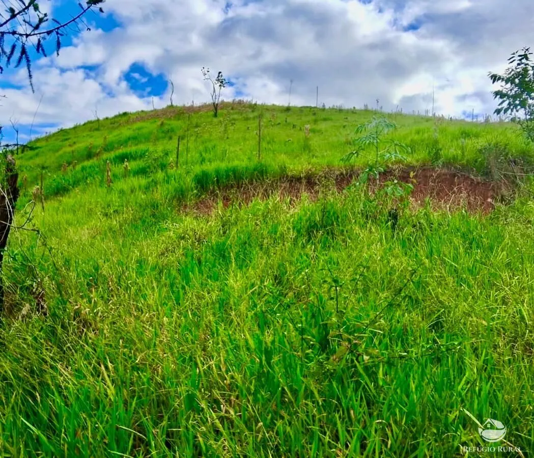Plot for sale of 35 acres in Igaratá, SP, Brazil