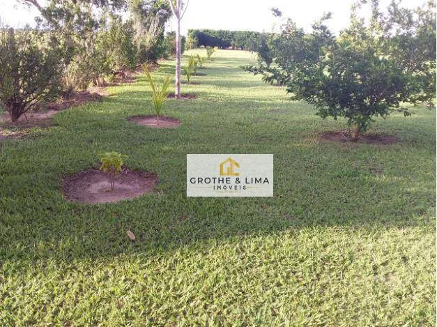 Farm for sale of 3,504 acres in Cocalinho, MT, Brazil