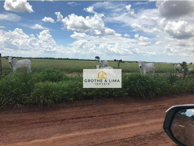 Farm for sale of 3,504 acres in Cocalinho, MT, Brazil