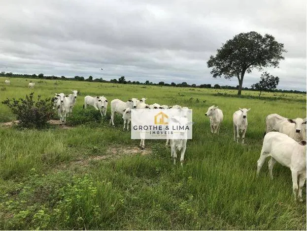 Farm for sale of 3,504 acres in Cocalinho, MT, Brazil