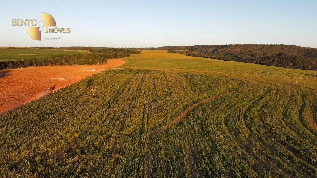 Fazenda à venda e para Arrendar de 1.600 ha em Tesouro, MT, Brasil