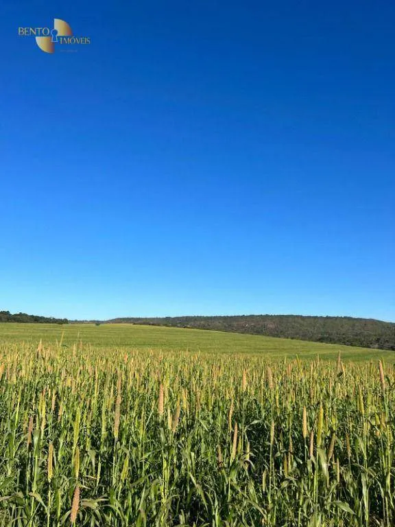 Fazenda à venda e para Arrendar de 1.600 ha em Tesouro, MT, Brasil