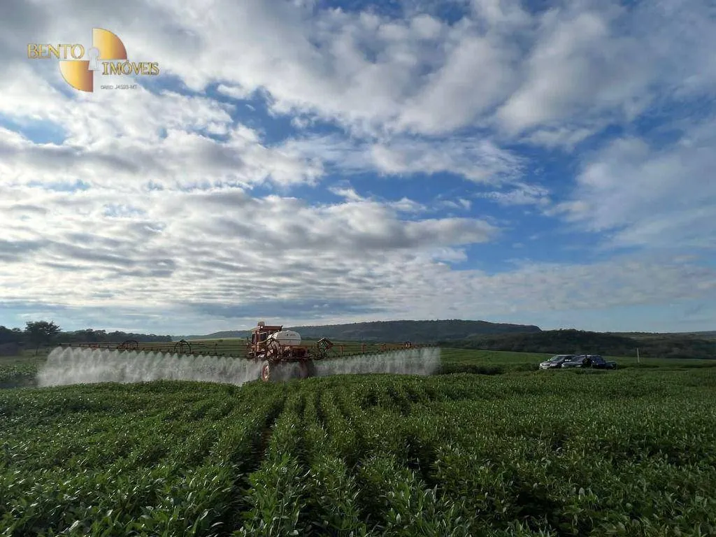 Fazenda à venda e para Arrendar de 1.600 ha em Tesouro, MT, Brasil