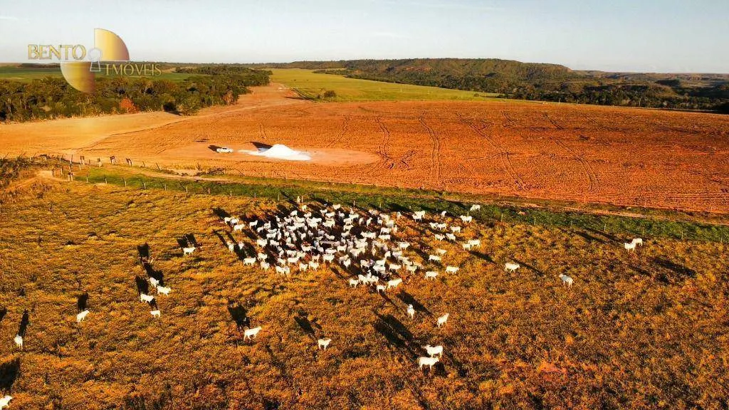 Fazenda à venda e para Arrendar de 1.600 ha em Tesouro, MT, Brasil