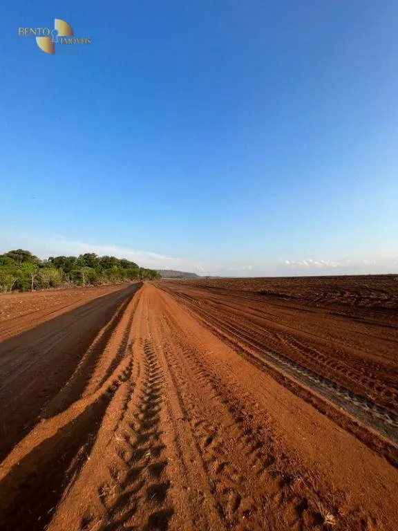 Fazenda à venda e para Arrendar de 1.600 ha em Tesouro, MT, Brasil