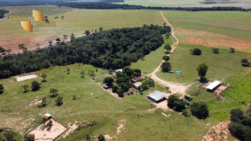 Fazenda à venda e para Arrendar de 1.600 ha em Tesouro, MT, Brasil