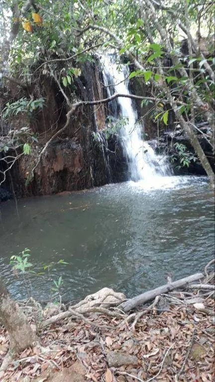 Fazenda à venda e para Arrendar de 1.600 ha em Tesouro, MT, Brasil
