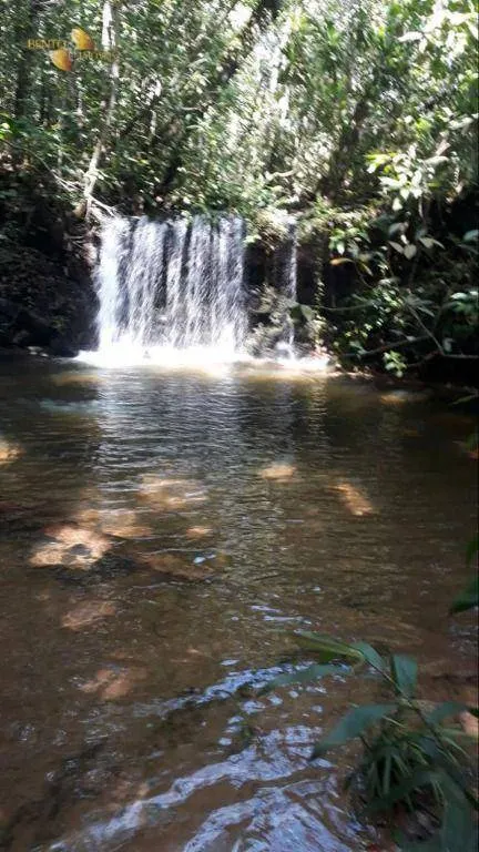 Fazenda à venda e para Arrendar de 1.600 ha em Tesouro, MT, Brasil