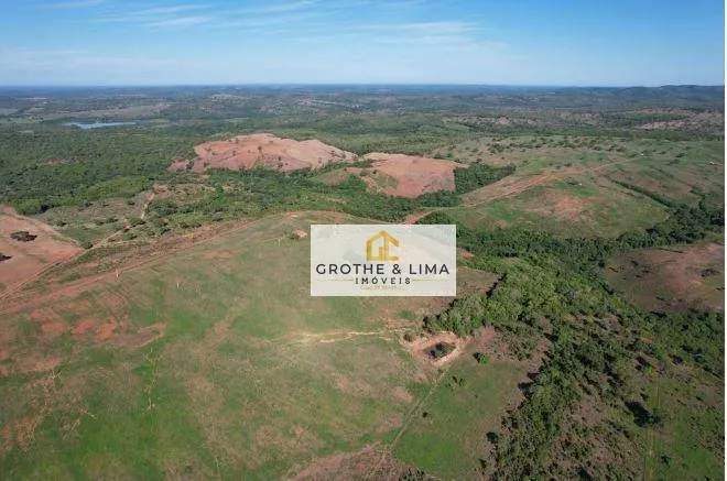 Fazenda à venda de 1.625 ha em Paraíso do Tocantins, TO, Brasil
