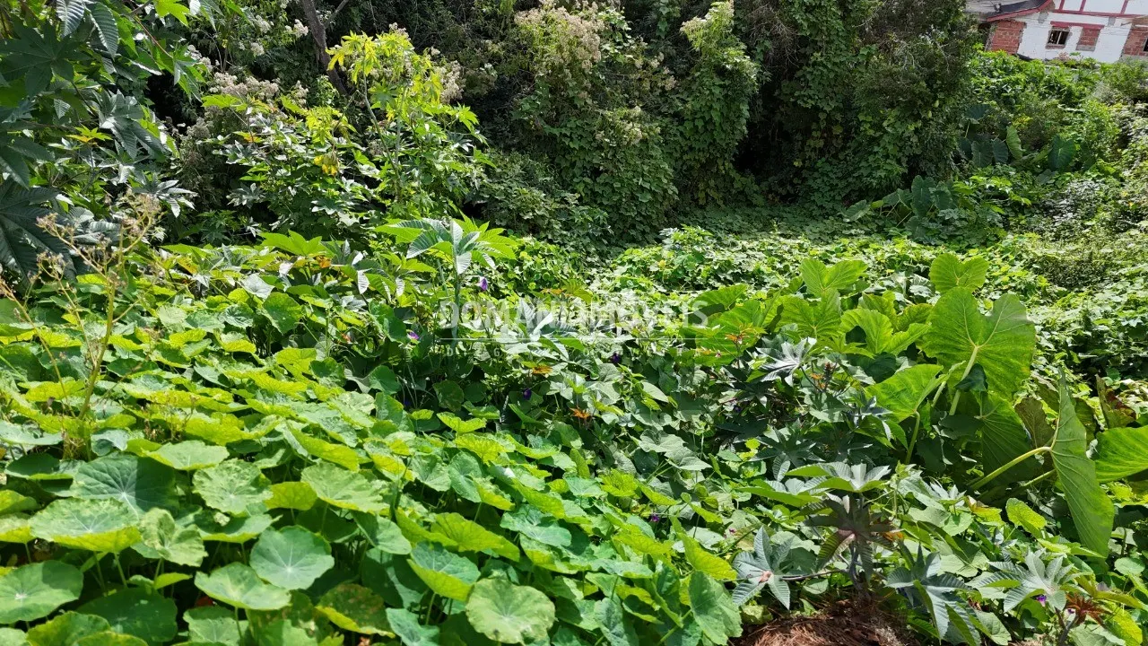 Plot for sale of 852 m² in Campos do Jordão, SP, Brazil
