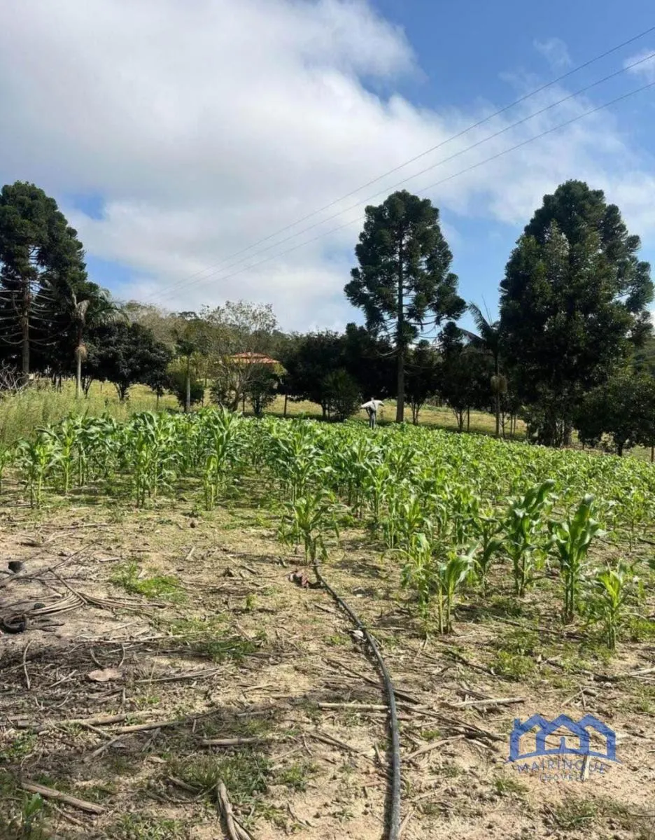 Small farm for sale of 24 acres in São Miguel Arcanjo, SP, Brazil