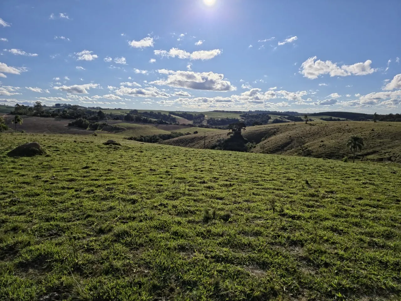 Fazenda à venda de 116 ha em Itapetininga, SP, Brasil