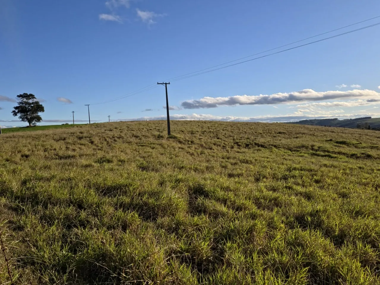 Fazenda à venda de 116 ha em Itapetininga, SP, Brasil