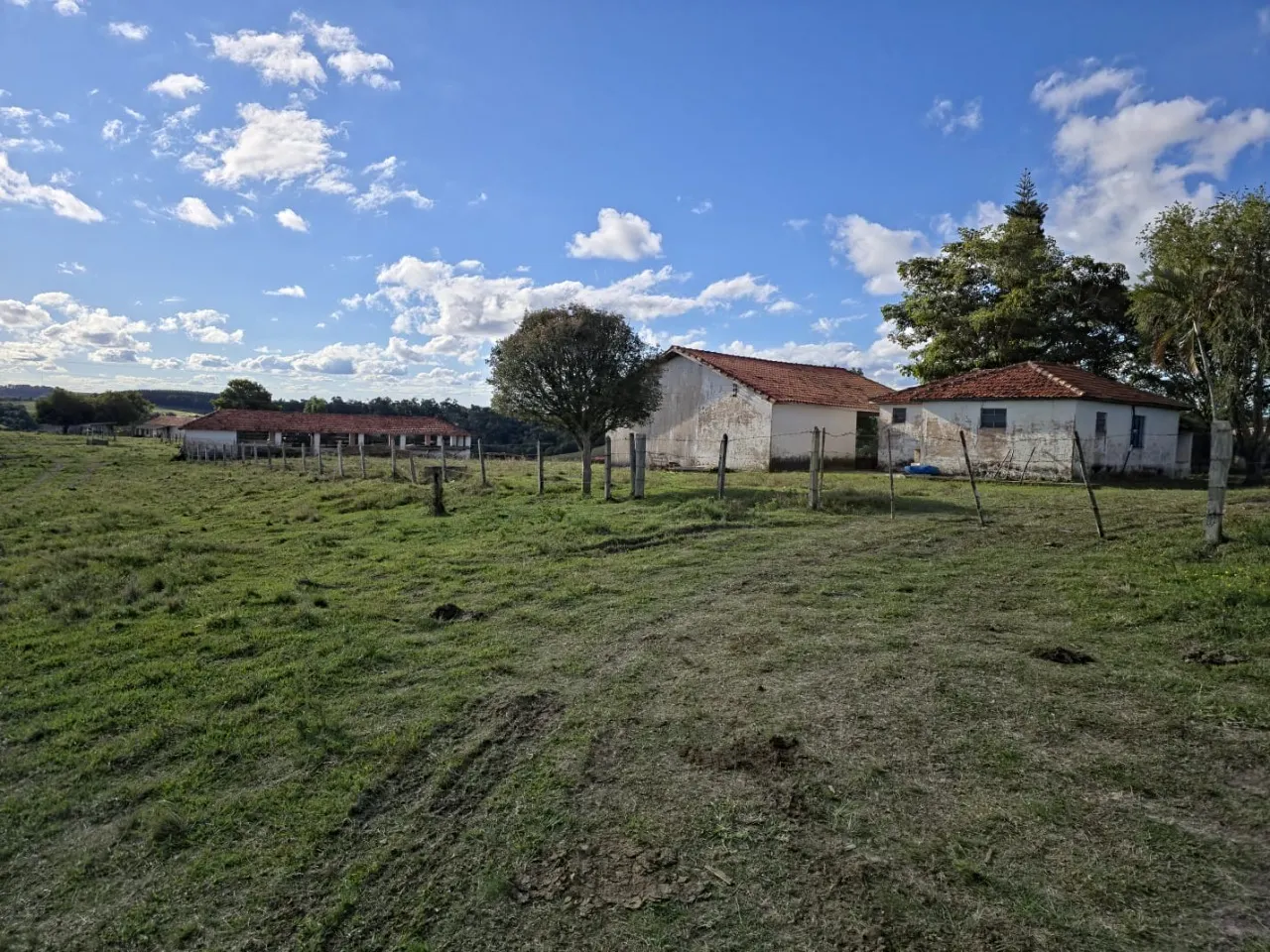Fazenda à venda de 116 ha em Itapetininga, SP, Brasil