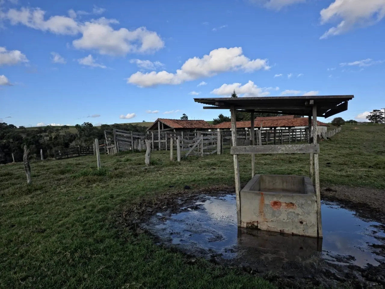 Fazenda à venda de 116 ha em Itapetininga, SP, Brasil