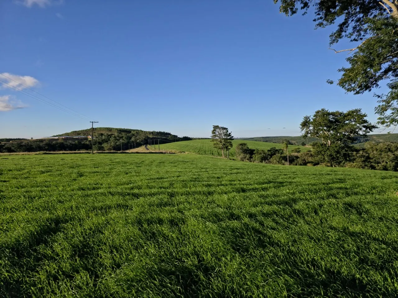 Fazenda à venda de 116 ha em Itapetininga, SP, Brasil