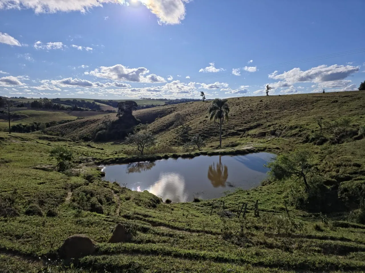 Fazenda à venda de 116 ha em Itapetininga, SP, Brasil