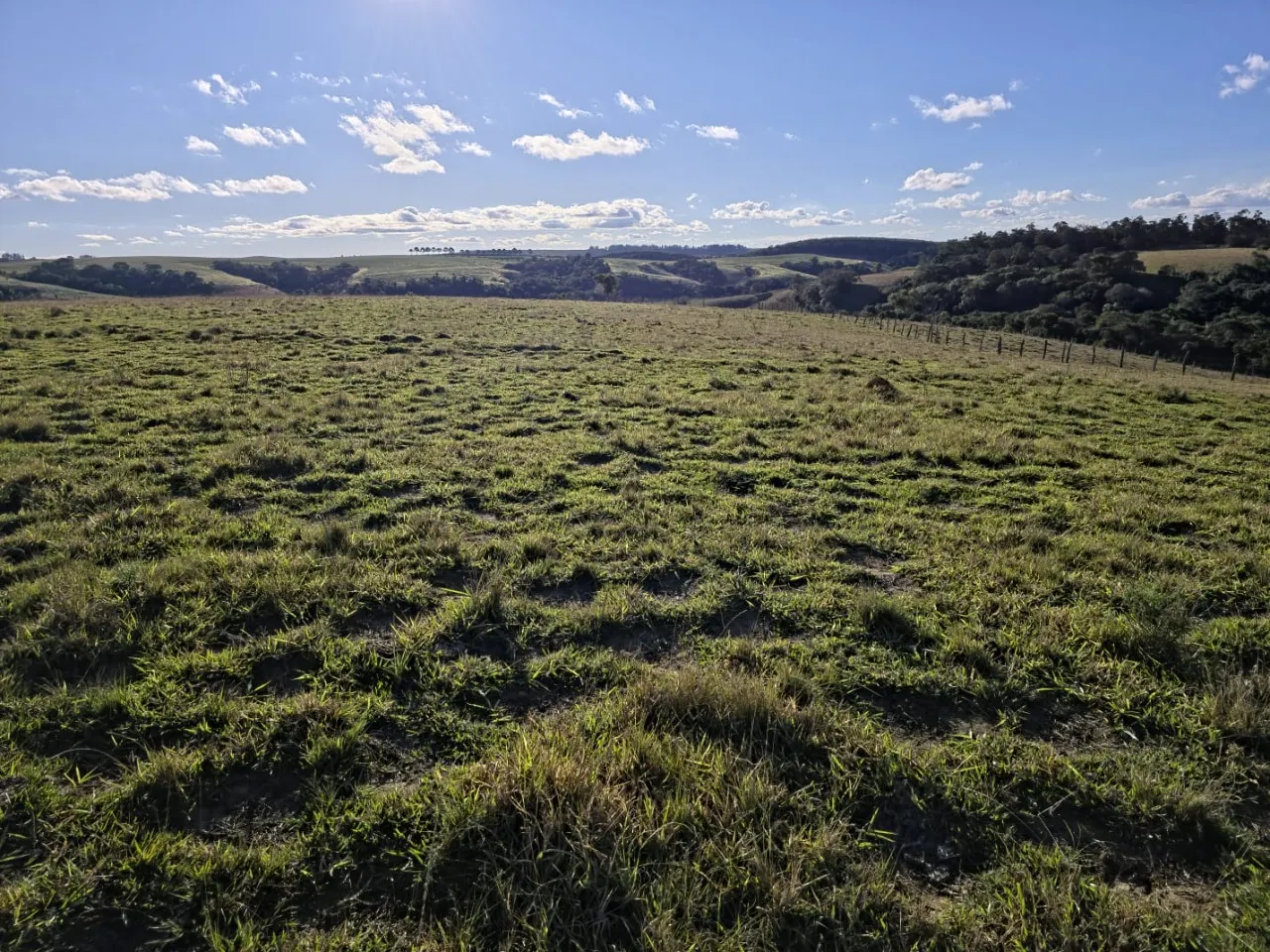 Fazenda à venda de 116 ha em Itapetininga, SP, Brasil