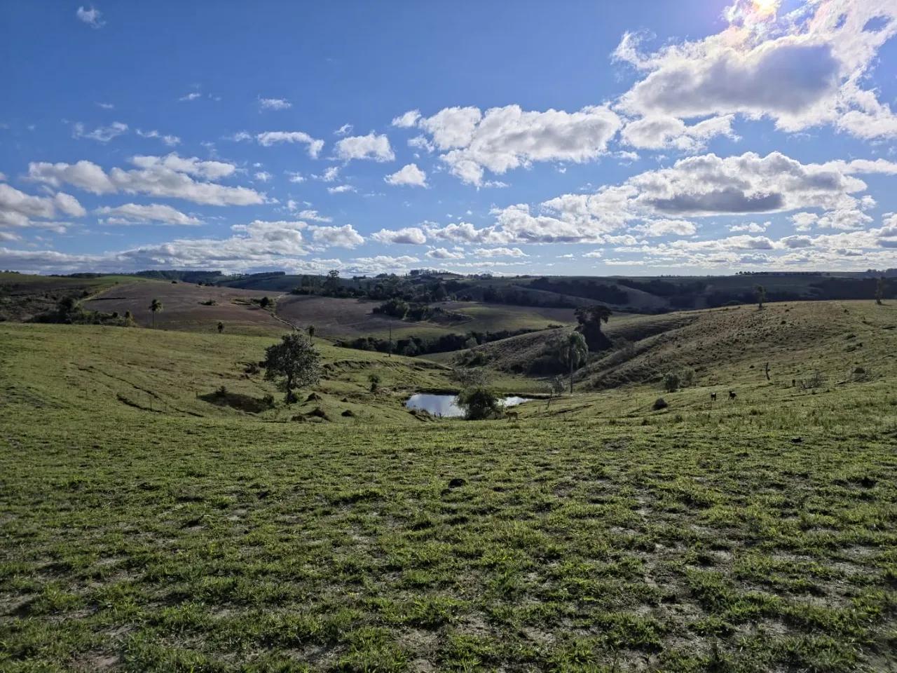 Fazenda à venda de 116 ha em Itapetininga, SP, Brasil