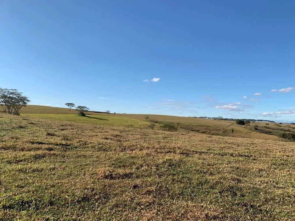 Fazenda à venda de 125 ha em Marília, SP, Brasil