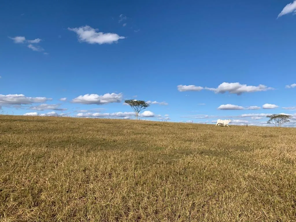 Fazenda à venda de 125 ha em Marília, SP, Brasil