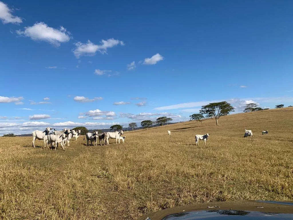 Fazenda à venda de 125 ha em Marília, SP, Brasil